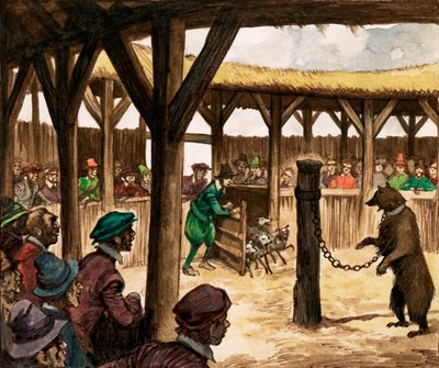 At the bear-pit, crowds cheered as the dogs were let in to attack chained bears (gouache on paper) بواسطة بيتر جاكسون
