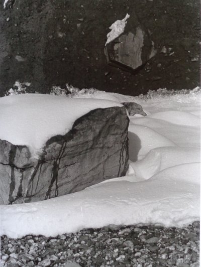 VINTAGE B&W PHOTO No.3، 1985، (PHOTOGRAPH) بواسطة بيتر مكلور