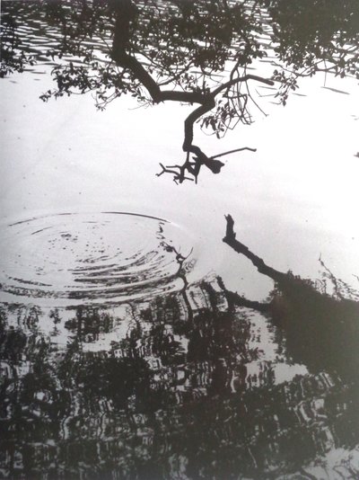 VINTAGE B&W PHOTO No.5، 1986، (PHOTOGRAPH) بواسطة بيتر مكلور