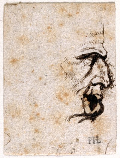 Galba ، من عشرة رسومات لثمانية من أول 12 قيصرًا ، بعد ميداليات جيوفاني دا كافينو (قلم حبر وحبر على ورق) بواسطة بيتر بول روبنز