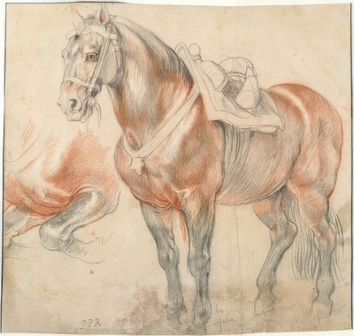 حصان سرج. حوالي 1615-18 بواسطة بيتر بول روبنز