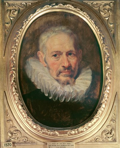 رأس رجل عجوز (زيت على canavs) بواسطة Peter Paul Rubens
