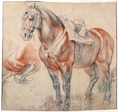 لوحة مائية "حصان سرج" لبيتر بول روبنز (1577-1640) حوالي 1616-1618 مكتبة فيينا ألبرتينا بواسطة بيتر بول روبنز