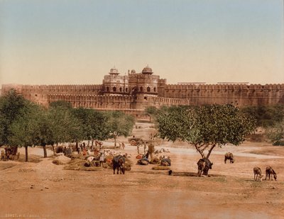 اجرا. القلعة بواسطة شركة فوتوجلوب (زيورخ ، نشط ج .1890 1910)