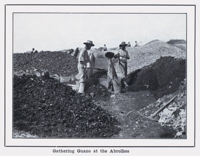 جمع ذرق الطائر في Abrolhos (b / w photo) بواسطة مصور فوتوغرافي استرالي