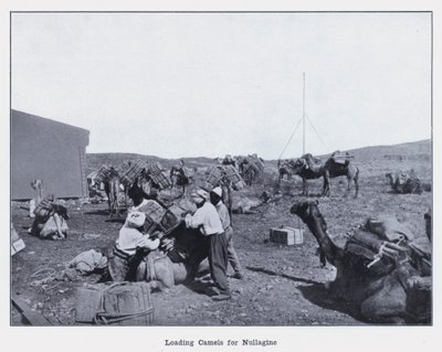 تحميل الإبل لـ Nullagine (b / w photo) بواسطة مصور فوتوغرافي استرالي