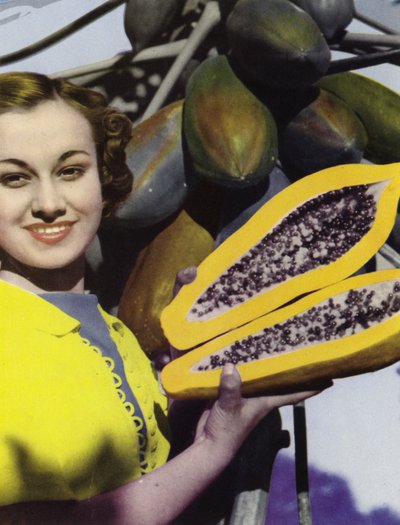 كوينزلاند ، أستراليا: The Paw Paw (صورة) بواسطة مصور فوتوغرافي استرالي