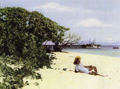 Queensland, Australia: The Tropical Beach (photo) بواسطة مصور فوتوغرافي استرالي