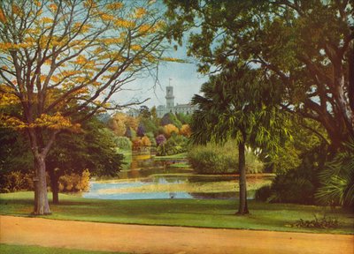  بواسطة مصور فوتوغرافي استرالي