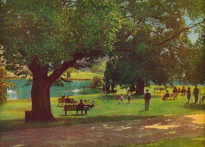  بواسطة مصور فوتوغرافي استرالي