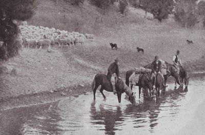 الباقي ، Stockmen الأسترالي النموذجي (صورة b / w) بواسطة مصور فوتوغرافي استرالي