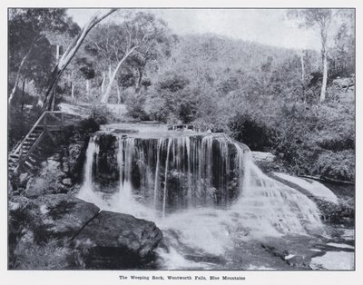 The Weeping Rock, Wentworth Falls, Blue Mountains (b/w photo) بواسطة مصور فوتوغرافي استرالي