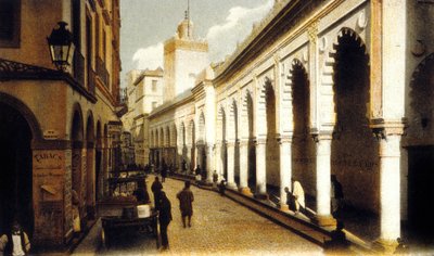 دجيماء الكبير موثق, الجرعة (فوتو) بواسطة مصور فوتوغرافي فرنسي