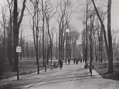 في حديقة الحيوانات ، Ahornsteig (صورة b / w) بواسطة مصور فوتوغرافي ألماني