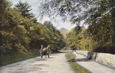 أيرلندا: The Glen of the Downs ، جبل Sugar Loaf ، مقاطعة Wicklow (صورة ملونة) بواسطة المصور الأيرلندي
