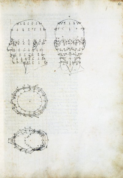 Construction and geometric projection of head, page from De Prospectiva pingendi (On Perspective of painting), by Piero della Francesca (ca 1415-1492), Italy بواسطة بييرو ديلا فرانشيسكا