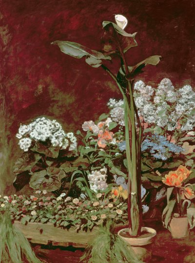 الزنبق ونباتات الدفيئة بواسطة 