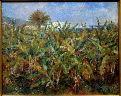 Un Champ de bananas لوحة بيير أوغست رينوار (1841-1919) 1881 صن. 0،51x0،63 م باريس ، متحف دورسيه - حقل أشجار الموز. رسم بيير أوغست رينوار (1841-1919) 1881. 0.51 × 0.63 م. متحف أورساي ، باريس بواسطة بيير أوغست رينوار