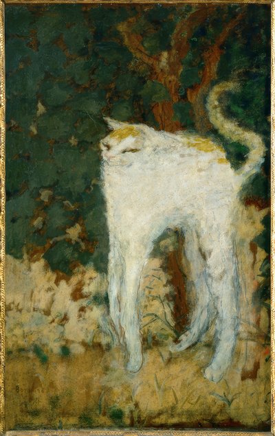 قطة بيضاء بواسطة Pierre Bonnard