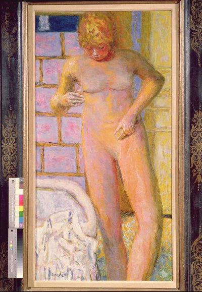الدائمة عارية ، 1928 بواسطة Pierre Bonnard
