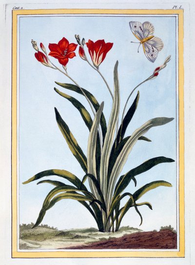 كورنليلي ، حانة. 1776. بواسطة بيير جوزيف بوشوز