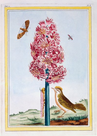 صفير ، حانة. 1776. بواسطة بيير جوزيف بوشوز