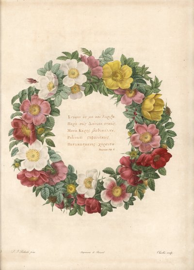 تاج الورود مع شعار يوناني - Eau forte by Charlin ، بعد رسم بيير جوزيف ريدوت (1759-1840) ، من Les Roses بواسطة بيير جوزيف ريدوت