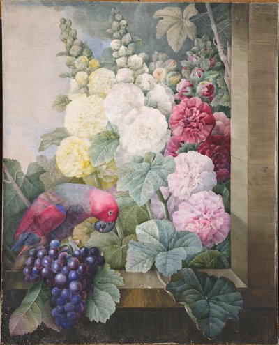 Hollyhocks والعنب والببغاء 1836. بواسطة بيير جوزيف ريدوت