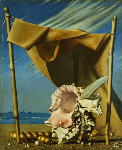 شل وثنى Coquillage et Drape ، حوالي عام 1930 (زيت على قماش) بواسطة بيير روي