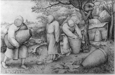 النحالون ، "إذا كنت تعرف مكان الكنز ، يمكنك سرقته" ، حوالي 1567 - 68 بواسطة بيتر بروغل الأكبر