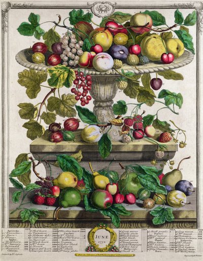 يونيو ، من "اثنا عشر شهرًا من الفواكه" ، بقلم روبرت فوربر (c.1674-1756) منقوش بواسطة هنري فليتشر ، 1732 (نقش الألوان) بواسطة Pieter Casteels