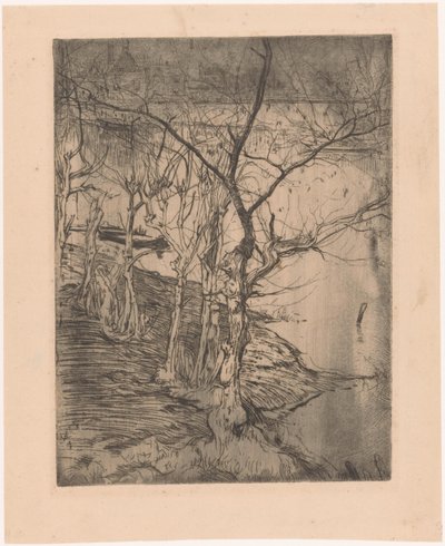 الأشجار المجردة من الماء بواسطة بيتر دوبونت