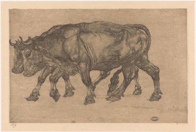 ثيران بواسطة بيتر دوبونت