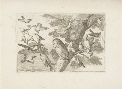 Uil en andere vogels in boom طيور مختلفة (عنوان المسلسل) أفضل أشكال الطيور المختلفة (...] (عنوان المسلسل) بواسطة فرانسيس بارلو