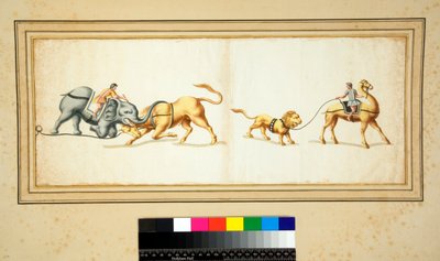 نسخة من فسيفساء لفيل يقاتل ثورًا (طباشير أسود ، بعضها بالقلم والحبر البني. ملون بالألوان المائية) بواسطة بيترو سانتي بارتولي