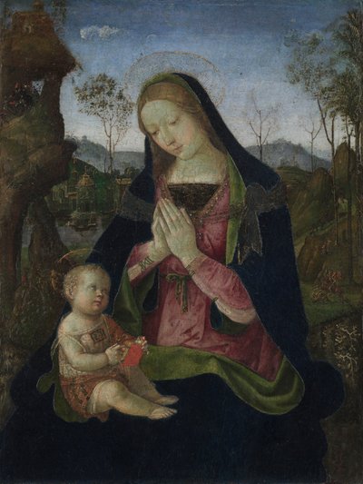 العذراء والطفل ، ج. 1490-1500. بواسطة بينتوريتشيو