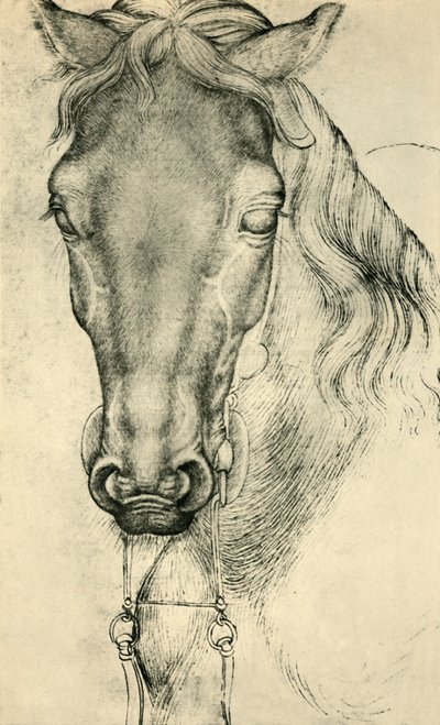 رأس حصان ، c1420-1455 ، 1943. بواسطة أنطونيو بيسانيلو