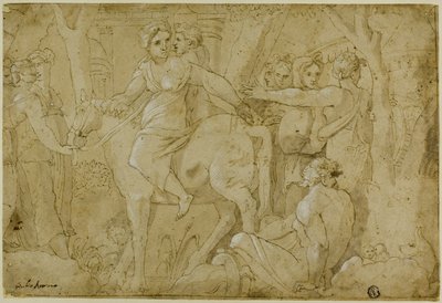 رحلة كليليا بواسطة Polidoro da Caravaggio