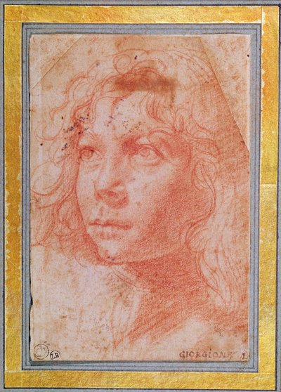 رأس صبي صغير يستدير إلى اليسار (طباشير أحمر على ورق) بواسطة Polidoro da Caravaggio