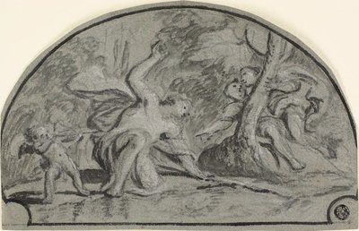 نرجس بواسطة Polidoro da Caravaggio