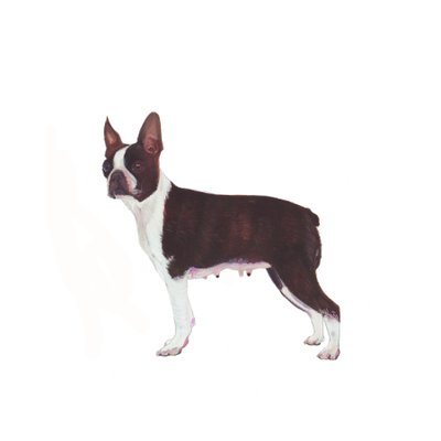  بواسطة 
