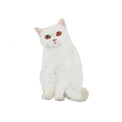  بواسطة 