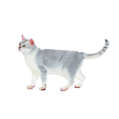  بواسطة 