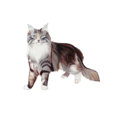  بواسطة 