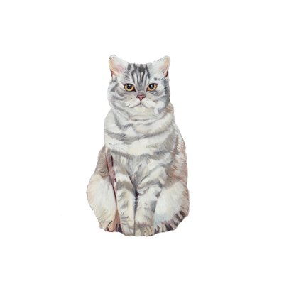  بواسطة 