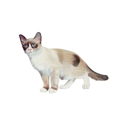  بواسطة 