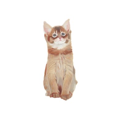  بواسطة 