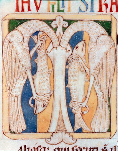 ورق مزخرف من مالك الحزين والأسماك. صورة مصغرة من مخطوطة "Testamentum Vetus" من Sancta Cruz de Coimbra. القرن الثاني عشر. بورتو ، مكتبة البلدية بواسطة المدرسة البرتغالية