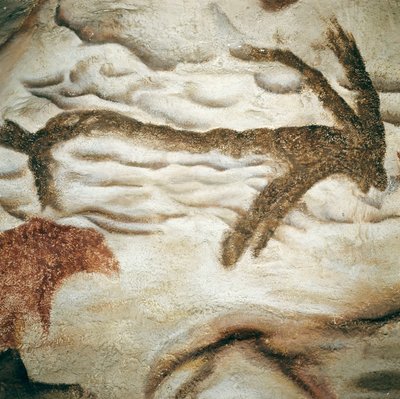 اللوحة الصخرية Cervid ، Cave de Lascaux ، دوردوني ، فرنسا ، العصر الحجري القديم الأعلى (Magdalenian) ج. قبل 13000 سنة (رسم) بواسطة عصور ما قبل التاريخ