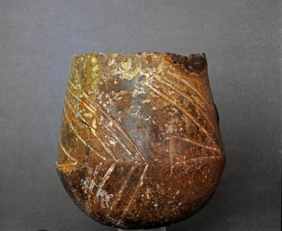 Prehistoire: terracotta vase from the necropolis of Caolino al Sasso di Furbara, Lazio. Stone Age. Neolithic. Rome, Museo Nazionale Preistorico Etnografico Luigi Pigorini بواسطة عصور ما قبل التاريخ